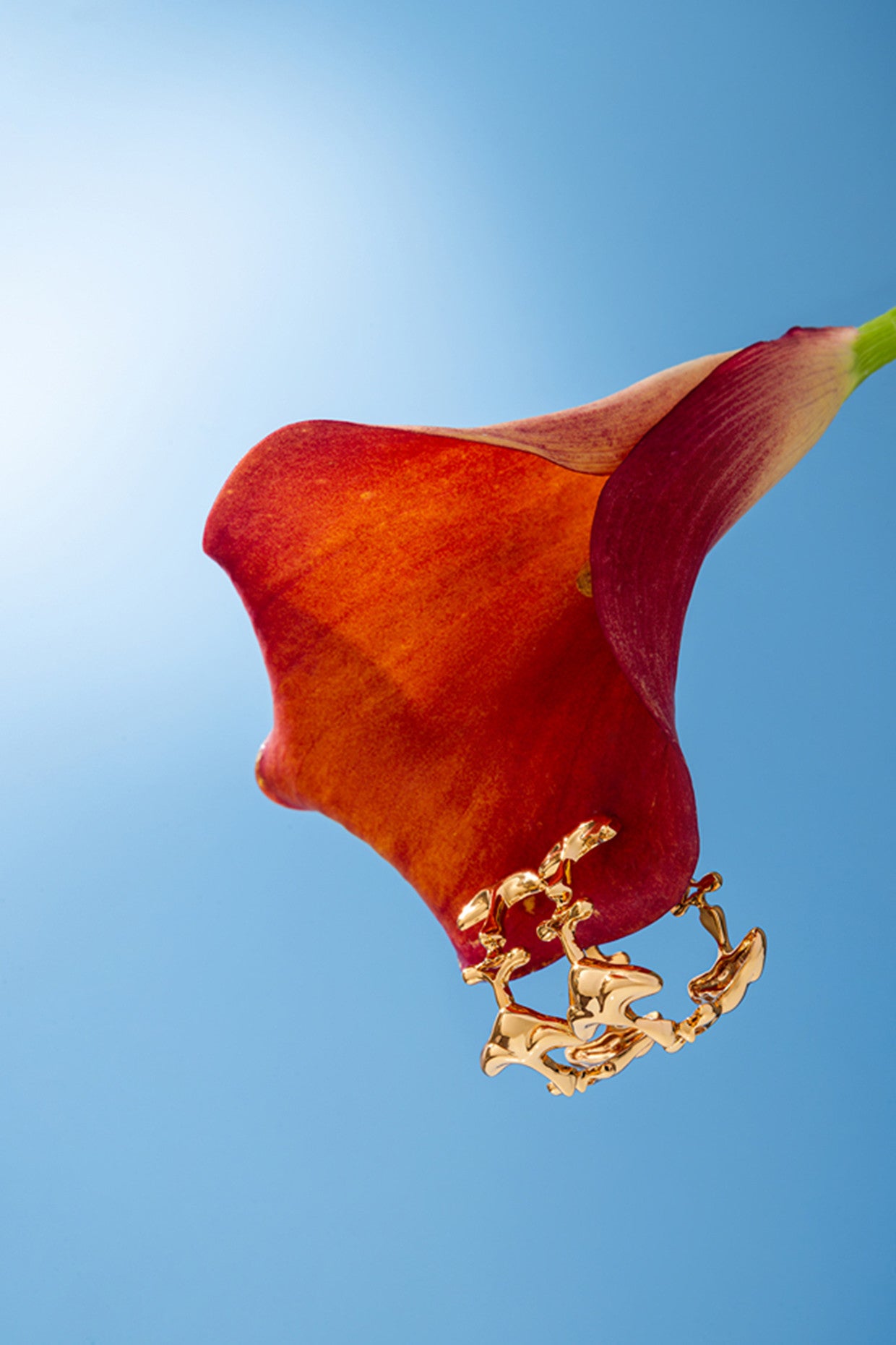 22kt Gold Plated Shroom Earrings