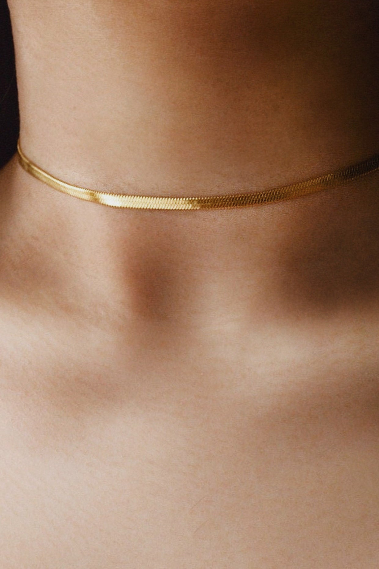 Herringbone Silver Choker Necklace