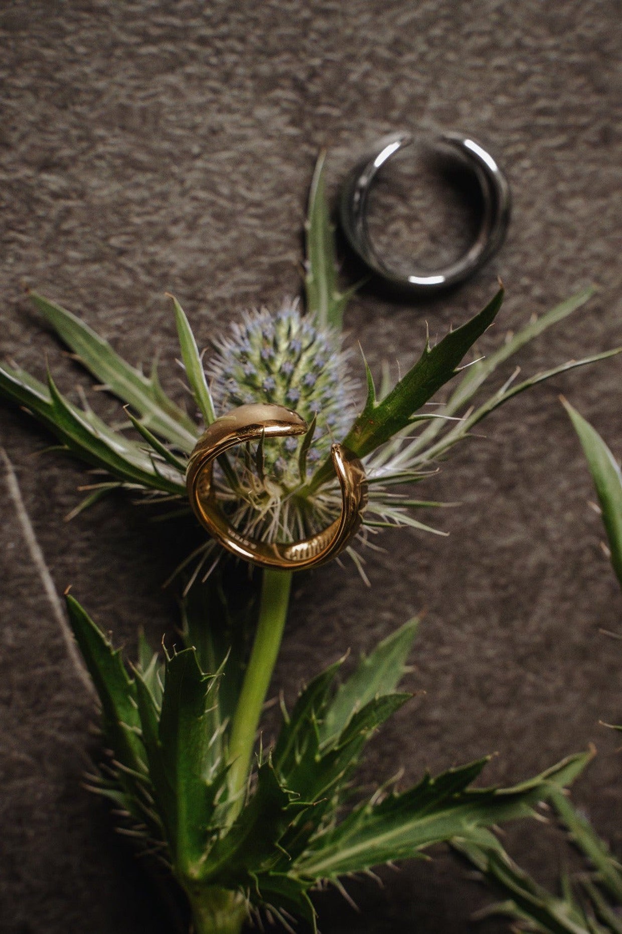 Ouvrir Index Silver Ring